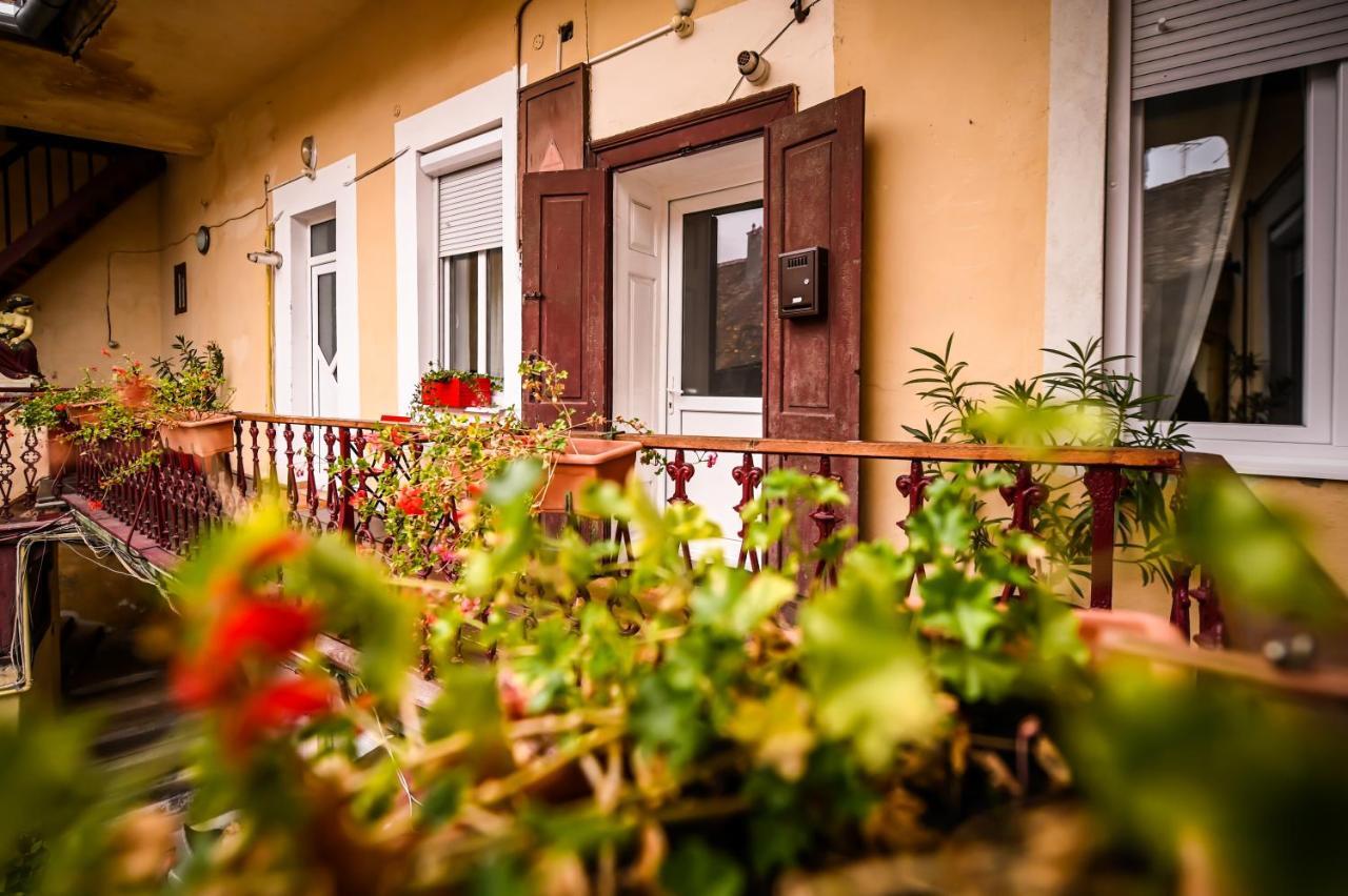 Jules' Sunny, Spacious And Central Apartment Сібіу Екстер'єр фото
